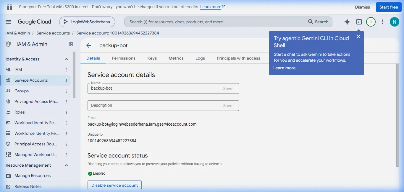 Detail Service Account